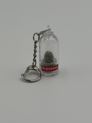 Supreme Cactus Keychain Box Logo SS18 | eBay