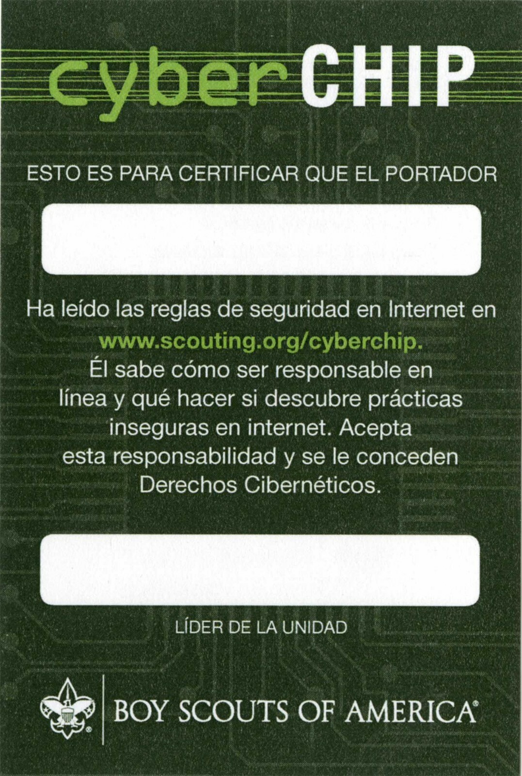 BOY SCOUT 6 CARD SET LOT SPANISH CYBER CHIP INTERNET POCKET CERTIFICATE SET  BSA | eBay
