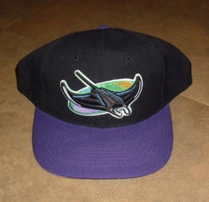 tampa rays hat