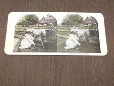 VINTAGE STEREOVIEW STEREOSCOPES CARD FUNNY  TABBY'S EVENING MEAL
