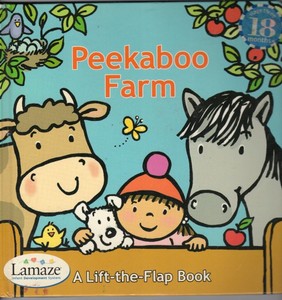 lamaze infant development system