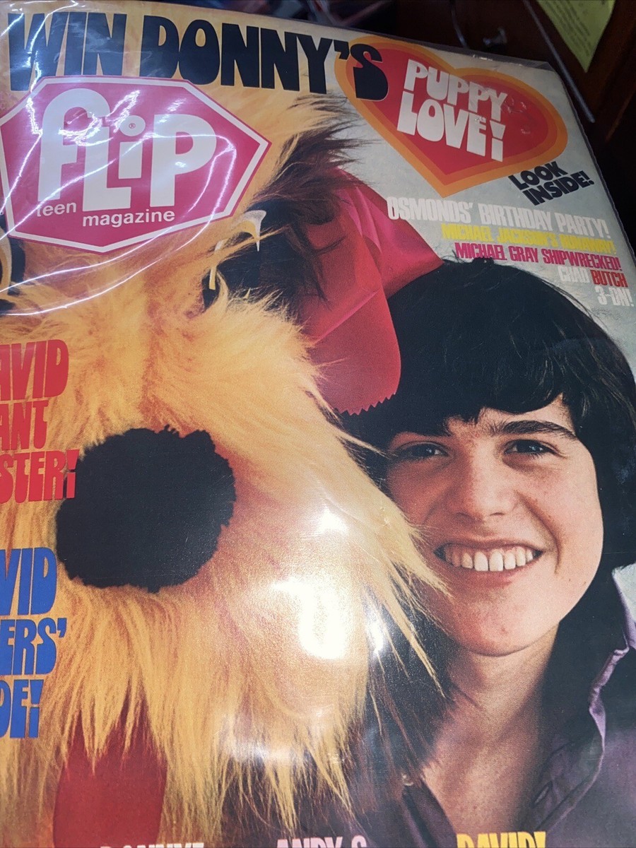 月刊Popteen438～468(×462.467)2017.4～2019.10 Vintage Flip Teen Magazine - July 1972 Issue—, Bagged | eBay