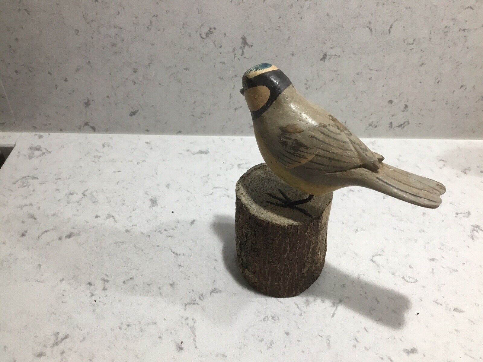 Picture 5 of 11