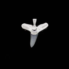 1" Fossil Lemon Shark Tooth Pendant | Nickel Electroformed