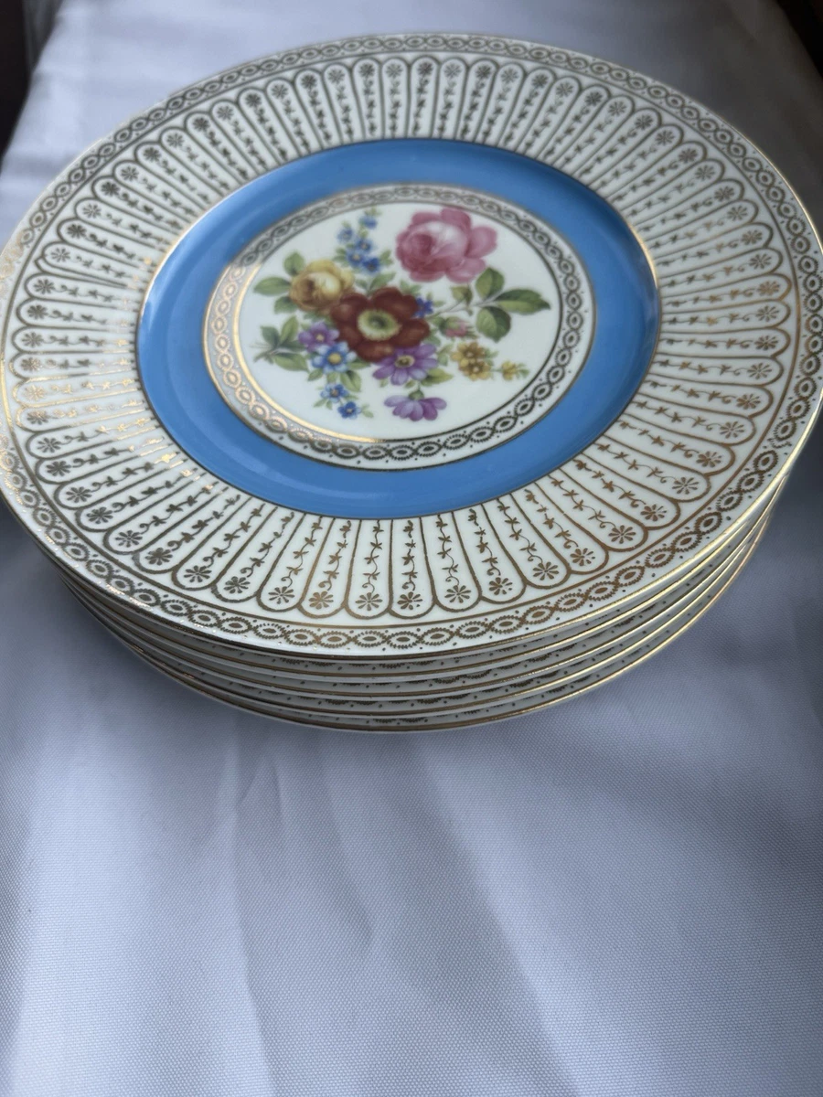 Pirkenhammer Plate Indiana Porcelain Dinnerware for sale | eBay