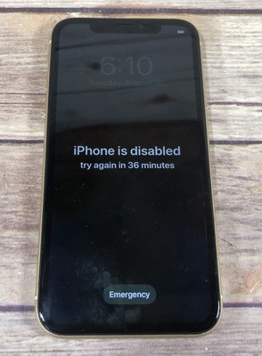 iPhone X (10) Yellow NOT UNLOCKED DISABLED Does Charge But Stopped Working