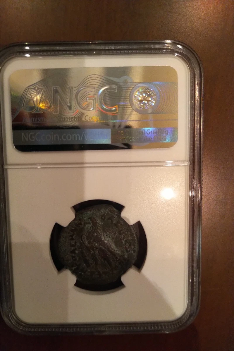 NGC Graded Coin Ptolemaic Kingdom Ptolemy III 246 - 222 BC AE 24 | eBay