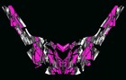 Bild 6 von 8