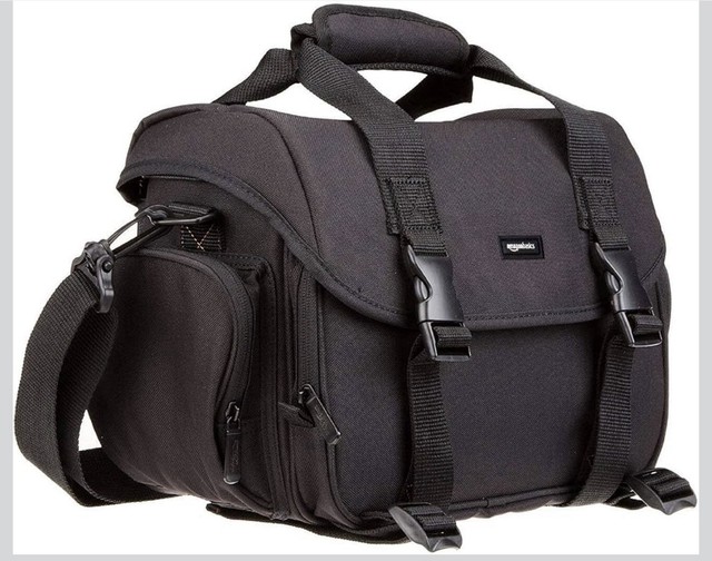 Amazon Basics Large DSLR Gadget Bag