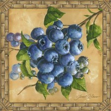 Ceramic Backsplash Tile Mural Fruit Vegetable Kitchen/Bathroom - Blueberries