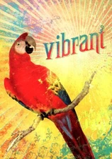 Vibrant - 14166