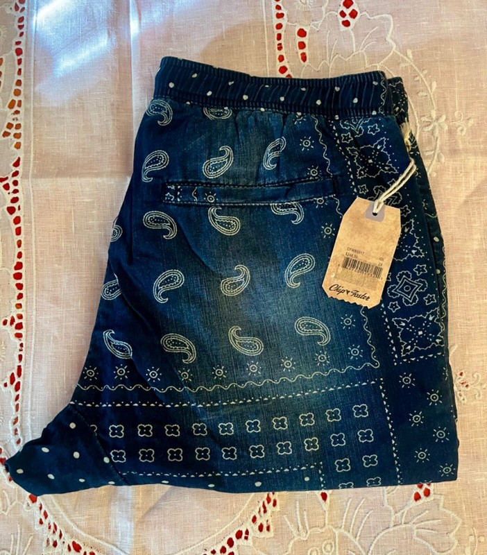 CHIP FOSTER Blue Bandana Paisley Print Jogger, sz 29, NWT