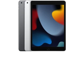 Apple iPad 9 (2021) 10.2" 64GB 256GB Gray Silver WiFi or Cellular - Very Good