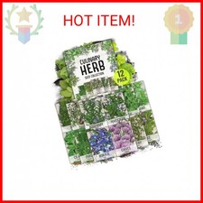 Seed Needs Herb Seeds Variety Pack Culinary Herb Collection 12 Individual Packe