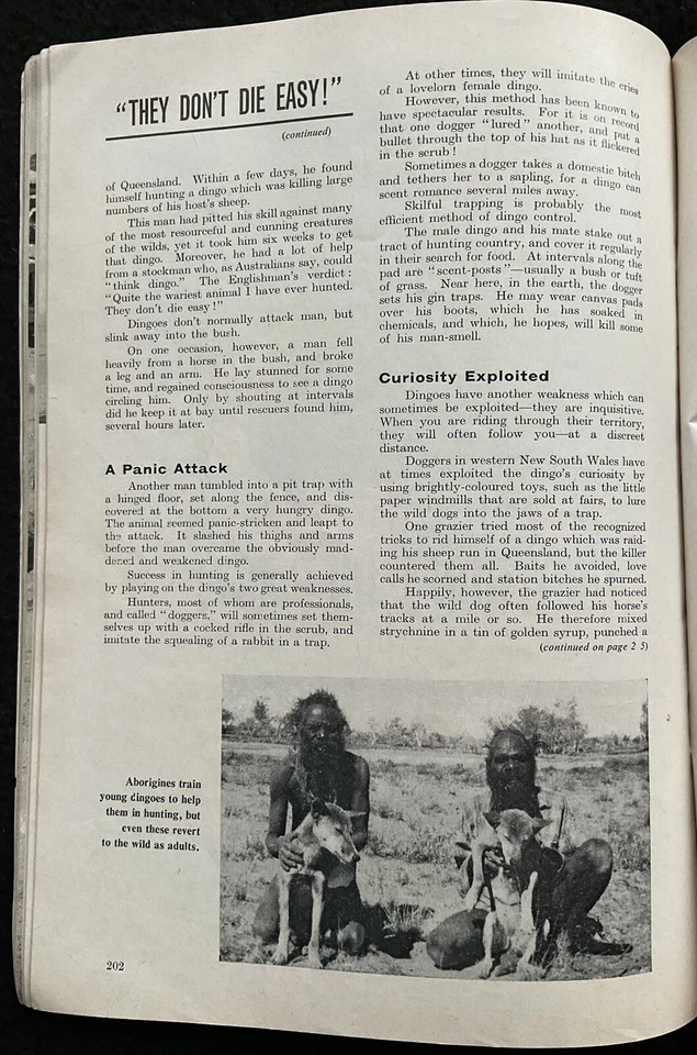 THE WIDE WORLD - October 1962, True Adventure Magazine For Men, Dingo Fence, UK - Image 3 of 4