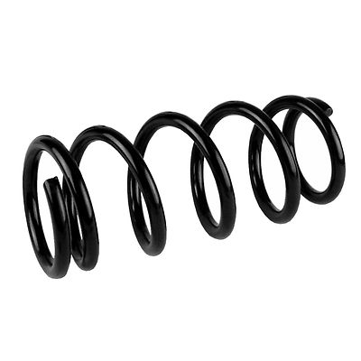 1 Feder hinten BMW E88 118i 120i,D E90 318i,D 320i,D 325i 330i,D 335 E92 320-330