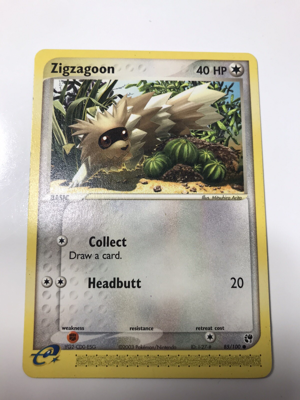 ZIGZAGOON - 85/100 - EX Sandstorm - Common - Pokemon Card - NM