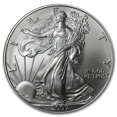 2007-W Burnished American Silver Eagle MS-69 NGC (ER) | eBay
