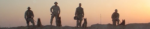 Operation Iraqi Freedom II (OIF-II) IRAQ Police CANINE K-9 iron-on 2007 PATCH - Picture 12 of 12