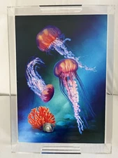 Acrylic Serving Tray 12X17 Spill Proof Clear Serving Tray Organizer  Ocean Squid