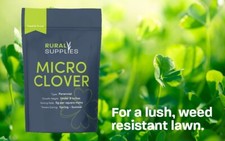 Premium Micro Clover Seeds Easy Grow New Lawn, Garden, Drought