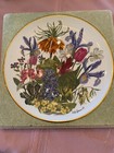 collector plate sets new