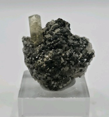 Calcit (doppelt terminiert) Dolomit, Sulfide - SÜSSWASSERMINE Missouri, USA