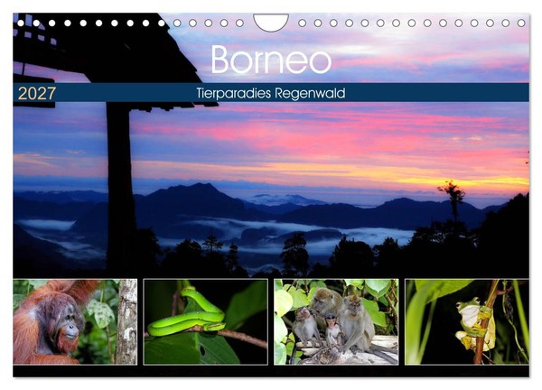 Calendar 2027 · US Version · Borneo - Animal Paradise Rainforest (Wall Calendar-image