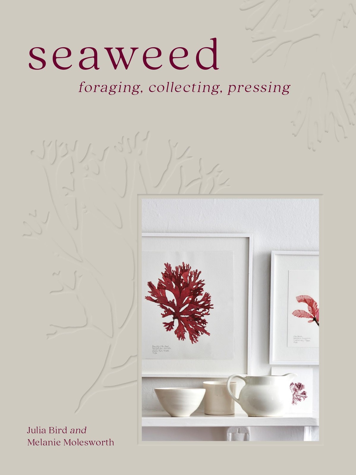 Seaweed The sustainable 2023 guide to our oceans with by Julia Bird HARDBACK - Image 7