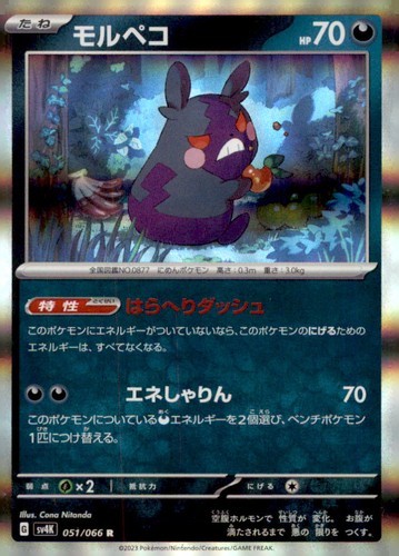 Morpeko - 051/066 051/066 Rare SV4K: Ancient Roar Pokemon Holo Moderately Played