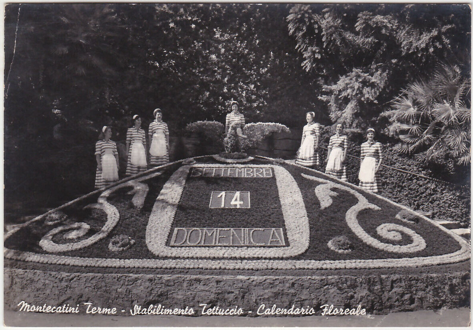 MONTECATINI TERME - PISTOIA - STABILIMENTO TETTUCCIO - CALENDARIO FLOREALE-35496