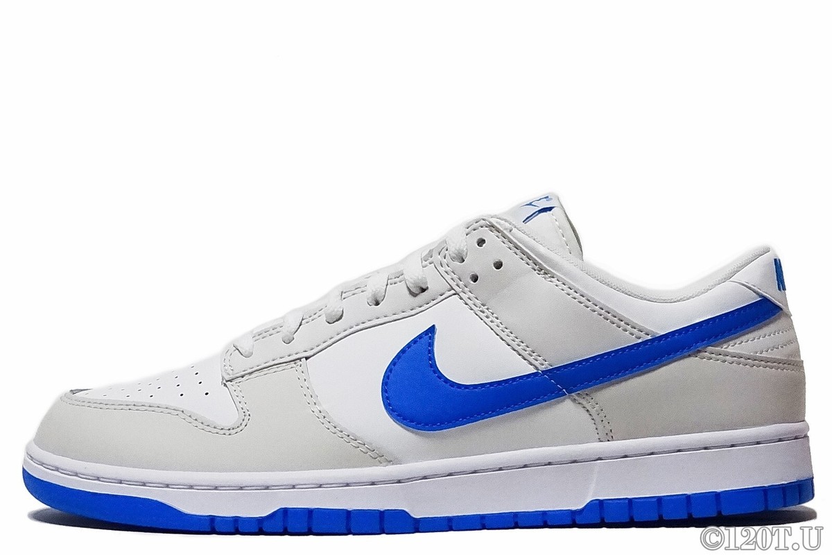Nike Dunk Low Retro Summit White/Platinum Tint/Photo Blue DV0831