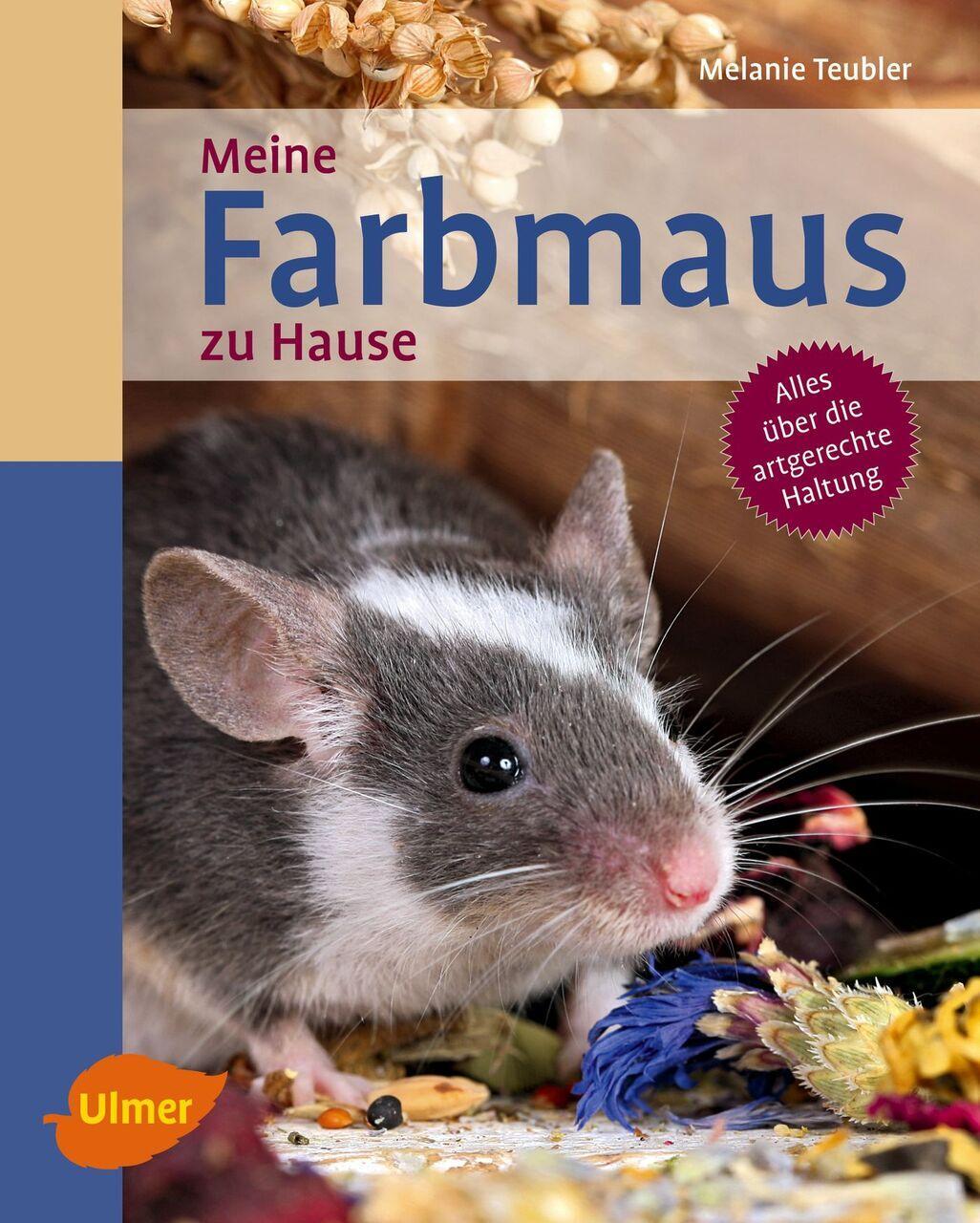 Meine Farbmaus Zu Hause Melanie Teubler