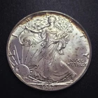 1987 American Eagle 1oz Silver Toning Uncirculated