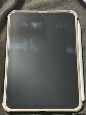 iPad Mini 6 Pink With TikTok 