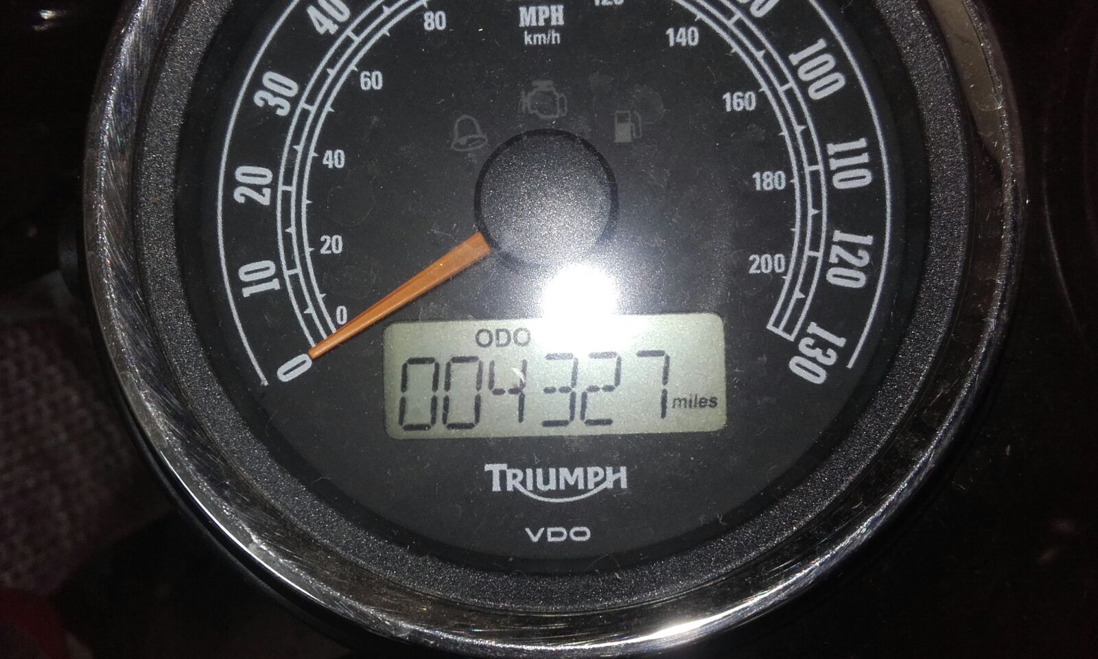 Picture 11 of 11