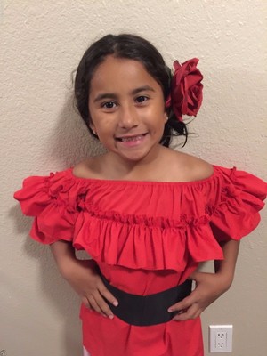 Mexican Girl Children Blouse 5 de Mayo Fiesta.Blusa Fiesta Mexicana para  Niña | eBay