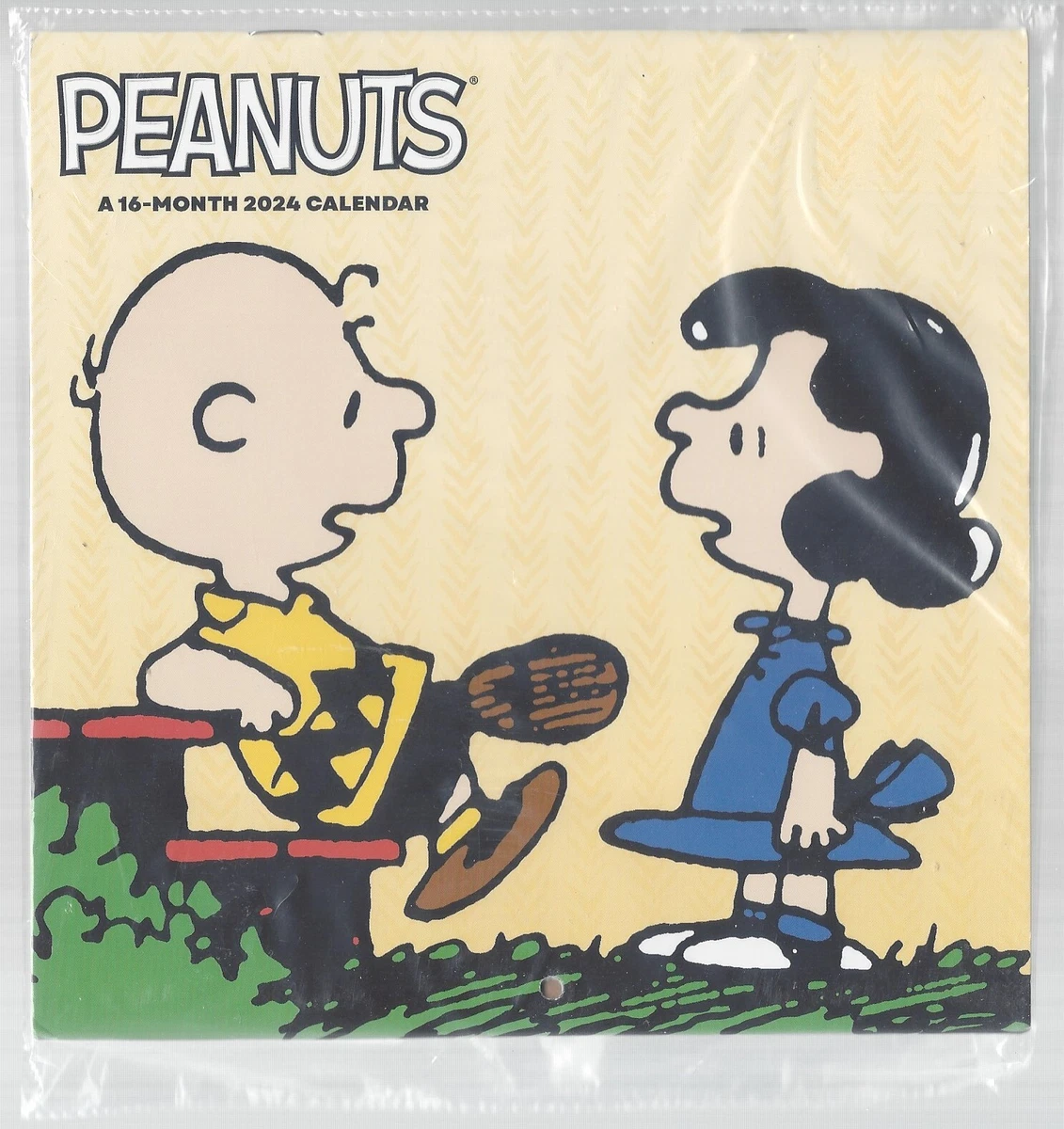 Peanuts 2024 16 Month Mini CALENDAR Charlie Brown Lucy | eBay