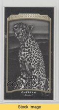 2017 Upper Deck Goodwin Champions Black & White Canvas Mini Cheetah READ 0e3