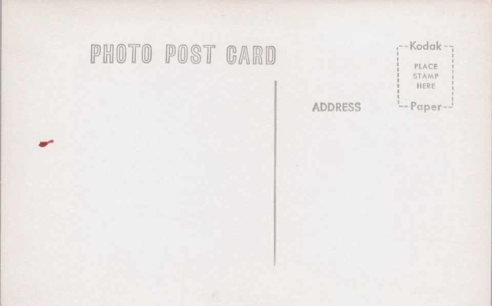 Easter Greetings Hand Colored RPPC Postcard Egg Tree Rabbits Bunny - Image 2 of 2