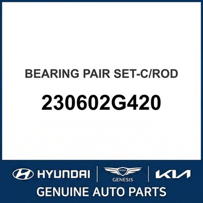 2009-2016 Hyundai Genesis Coupe Bearing Pair Set-C/Rod OEM New 230602G420