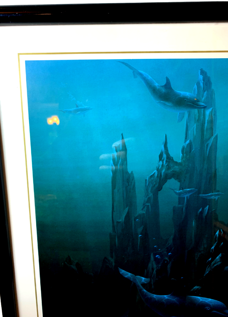 DAVID CHRISTOPHER MILLER 