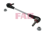 818 0625 10 FAG Stange/Strebe, Stabilisator FüR Opel,Vauxhall