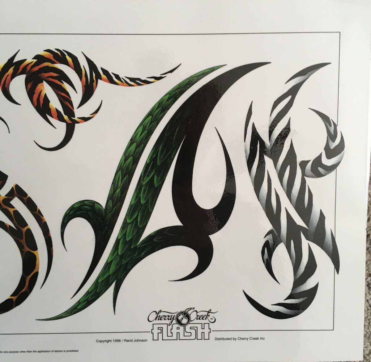 Tattoo Studio Shop Flash Single w/ Line Work Art, Zebra