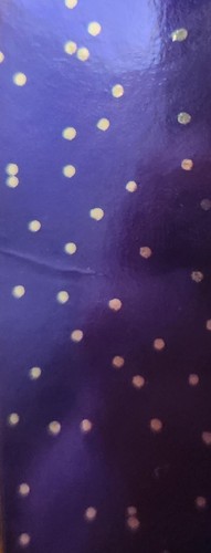 Prince 1999 Vinyl Double-LP Record 2019 Reissue Remastered 180Gram Import - Picture 13 of 16