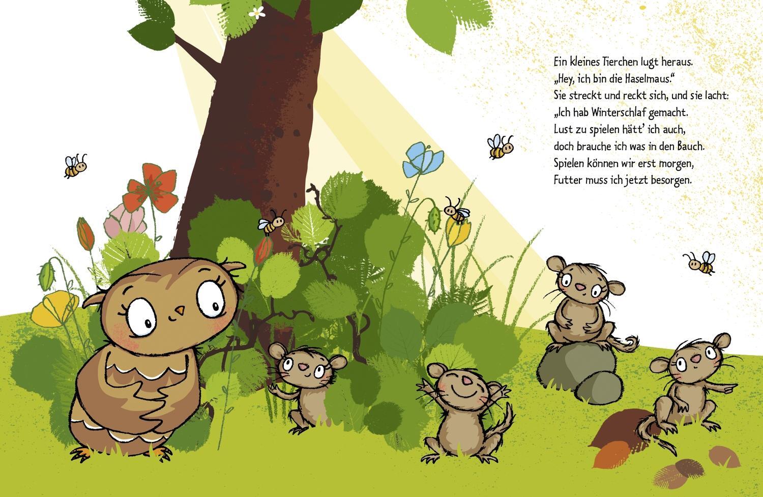 Thumbnail - Die Kleine Eule Findet Einen Freund Susanne Weber