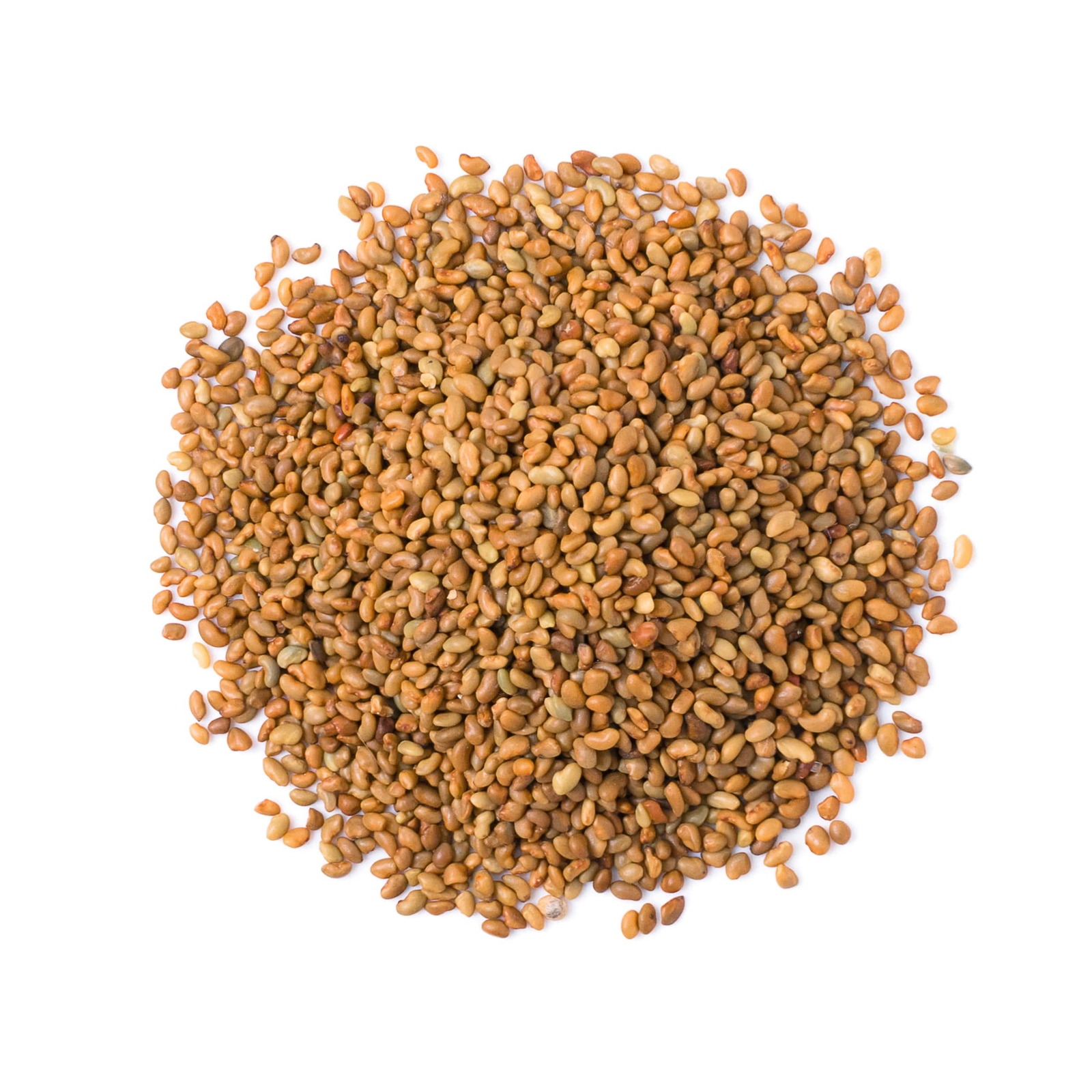 Alfalfa Seeds for Sprouting Sproutable , Kosher, Raw, Vegan by Food