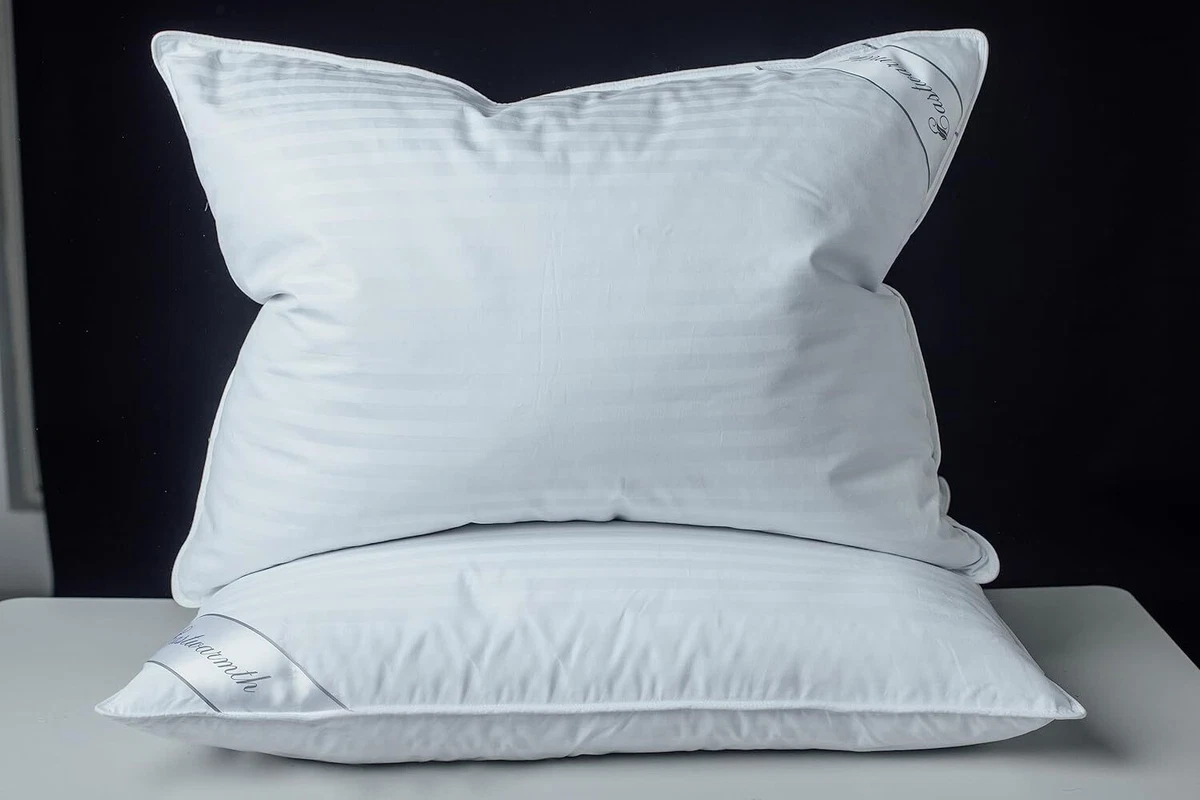 Ebay clearance feather pillows