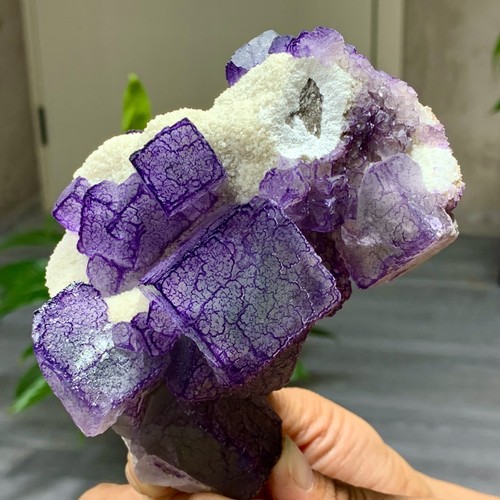 1,27 Pfund natürliches lila "QR-Code" Fluorit Cluster Kristall Mineral Probe/Guizhou - Bild 4 von 20