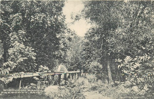 c1910 Prescott Arizona Bianconi Ranch Timerhoff Postkarte 25-6366